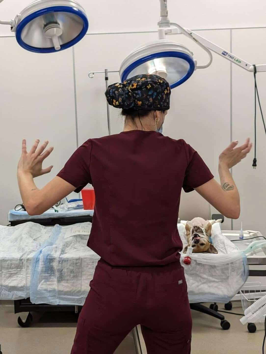 Opportunities Include Include