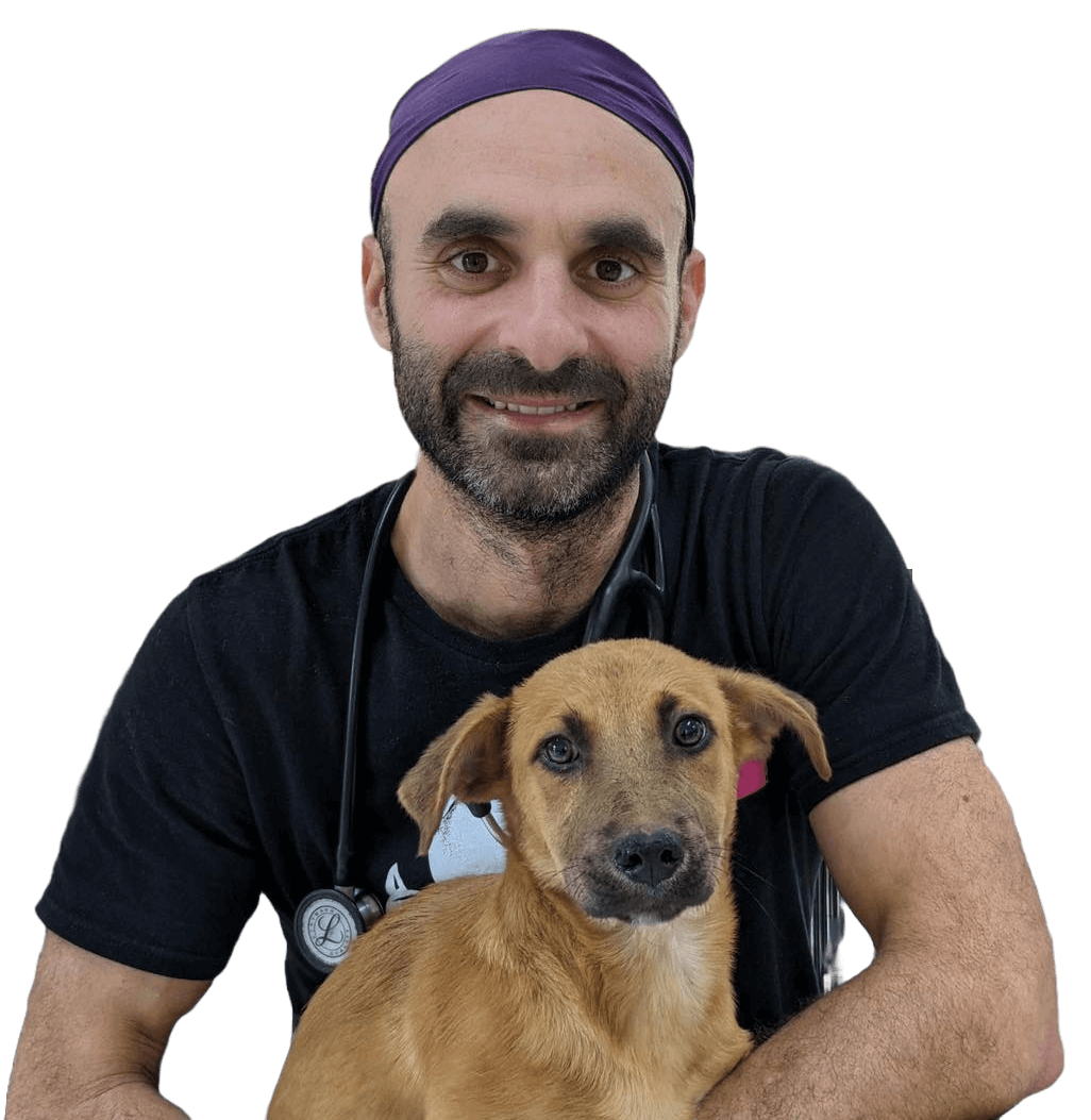 Ready to Join the Team