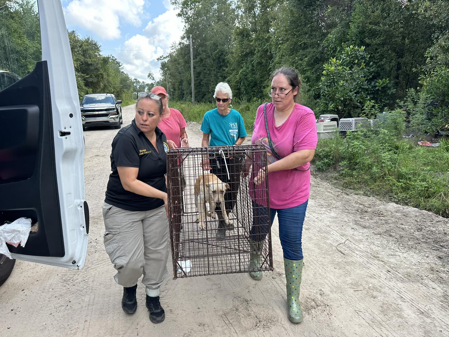 TNVR Program Development