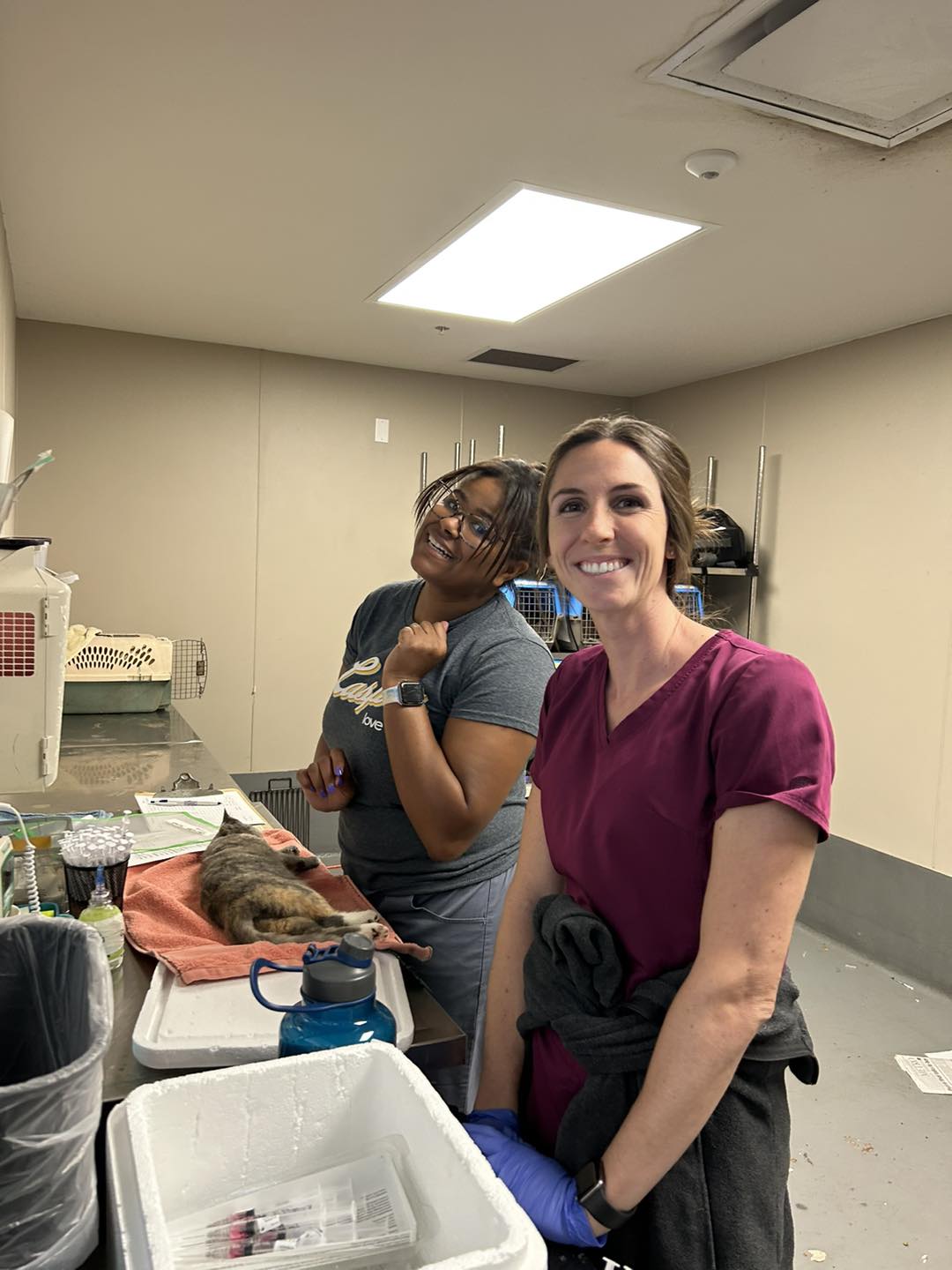 Who We're Looking For